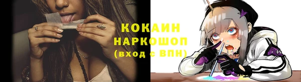 a pvp Каменногорск