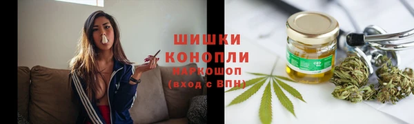 спиды Инсар