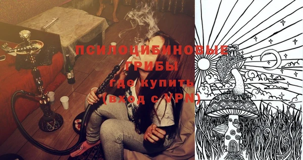 a pvp Каменногорск