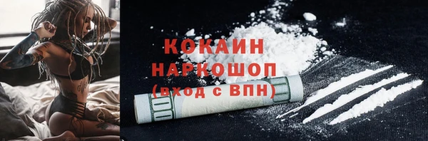a pvp Каменногорск